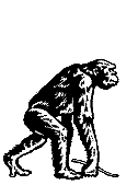 Missing Link - Morris